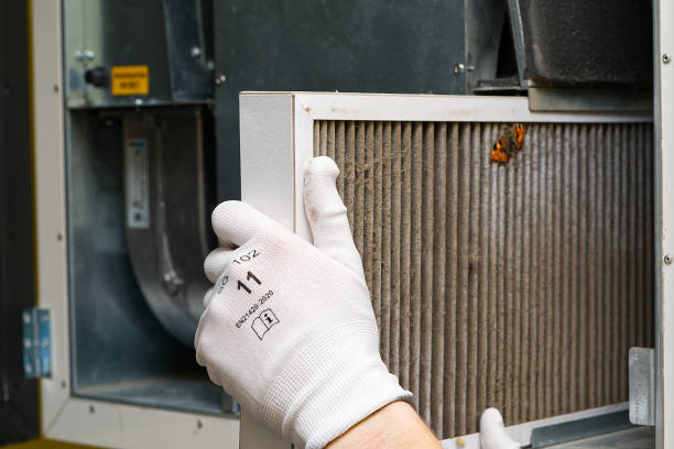 Best Air Duct Cleaning Near Me  in French Mp, CA