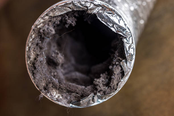 Best Residential Air Duct Cleaning  in French Mp, CA
