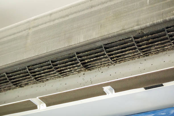 Best HVAC Air Duct Cleaning  in French Mp, CA
